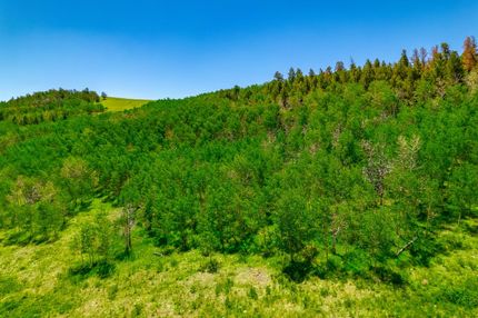 Recreational Property in Park County, Colorado