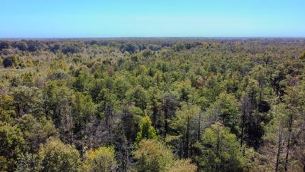 Timberland Property in Chicot County, Arkansas