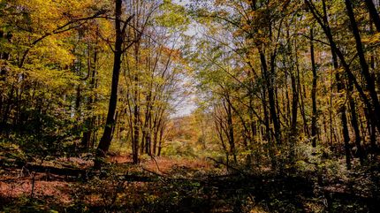 Farm and Ranch in Ross County, Ohio