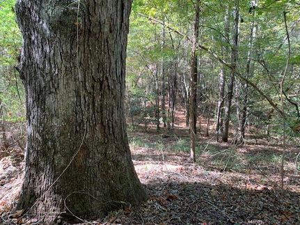 Farm and Ranch for sale in Claiborne Parish, Louisiana