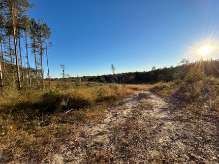 Farm and Ranch in Wayne County, Mississippi