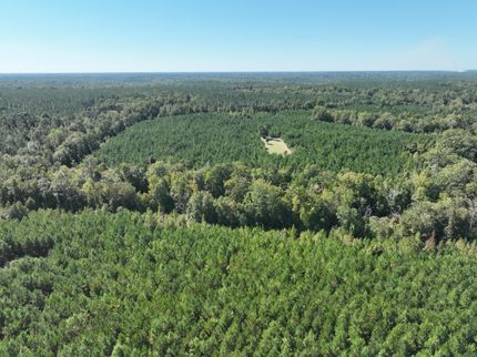 Land in Randolph County, Georgia