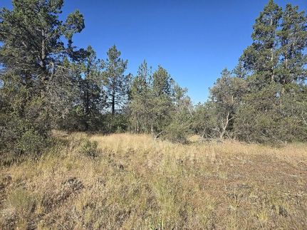 Land in Klamath County, Oregon