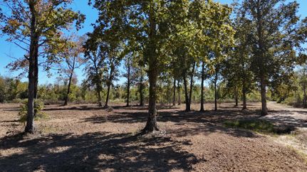 Timberland Property in Webster County, Mississippi