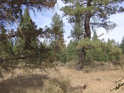 Undeveloped Land in Klamath County, Oregon