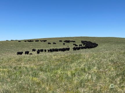 Timberland Property in Chase County, Nebraska