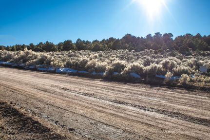 Farm and Ranch for sale in Costilla County, Colorado