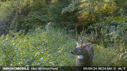 Recreational Property in Harrison County, Missouri