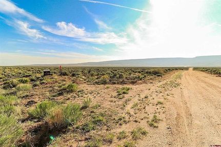 Undeveloped Land in Costilla County, Colorado