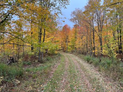 Land in Ashland County, Wisconsin