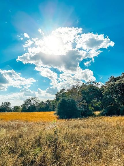 Recreational Property for sale in Leon County, Texas