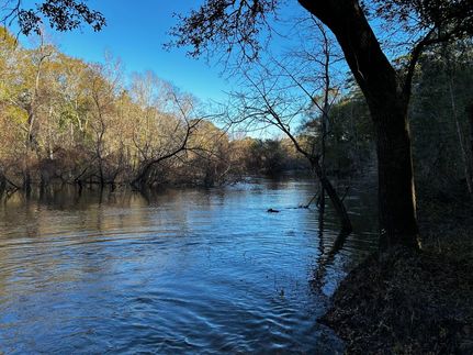 Hunting Property in Leon County, Florida