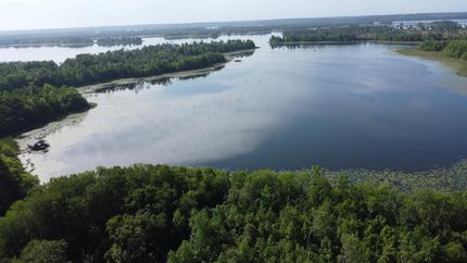 Undeveloped Land in Seminole County, Georgia