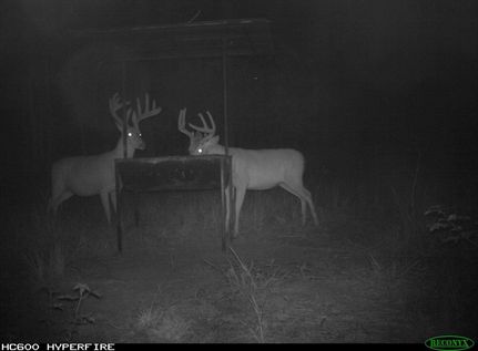 Lakefront Property in Grady County, Georgia