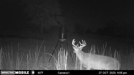 Lakefront Property in Grady County, Georgia