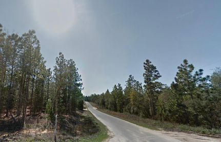 Undeveloped Land in Putnam County, Florida