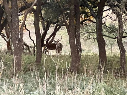 Farm and Ranch in Crockett County, Texas