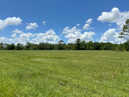 Recreational Property in Marion County, Florida