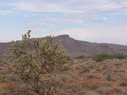 Lakefront Property in Mohave County, Arizona