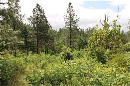 Land for sale in Douglas County, Oregon