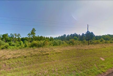 Undeveloped Land in Marion County, Texas