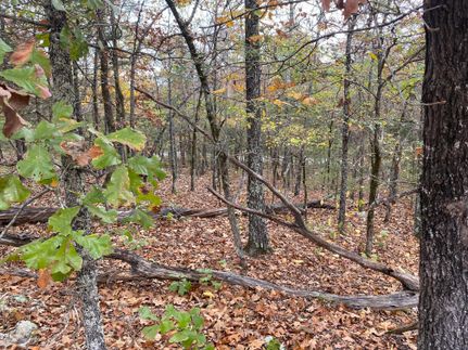 Land in Izard County, Arkansas