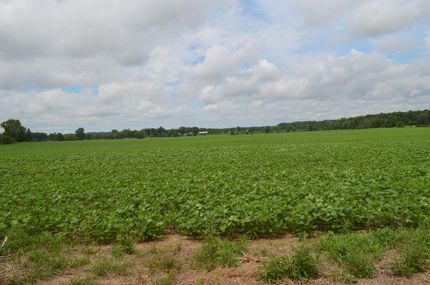 Undeveloped Land in Eaton County, Michigan