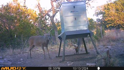 Farm and Ranch in Edwards County, Texas