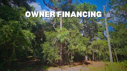 Undeveloped Land in Citrus County, Florida