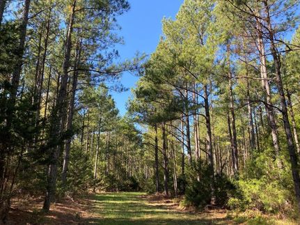 Recreational Property in Fairfield County, South Carolina