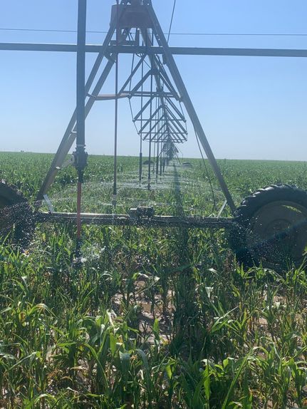 Farm and Ranch in Texas County, Oklahoma