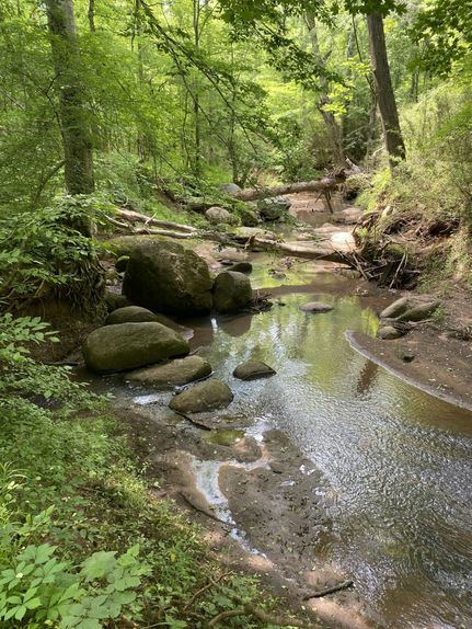 Land in York County, South Carolina