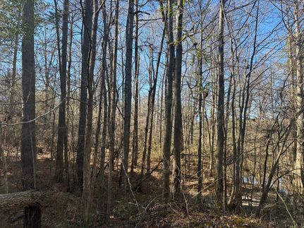 Recreational Property in Morehouse Parish, Louisiana
