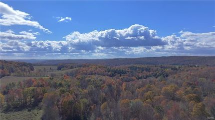 Undeveloped Land in Madison County, New York