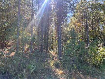 Timberland Property for sale in Upson County, Georgia