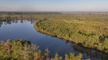 Undeveloped Land in Dodge County, Georgia
