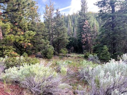 Undeveloped Land in Modoc County, California