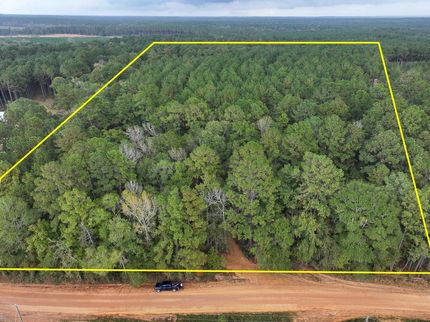 Timberland Property in Polk County, Texas