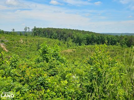Hunting Property in Winston County, Alabama