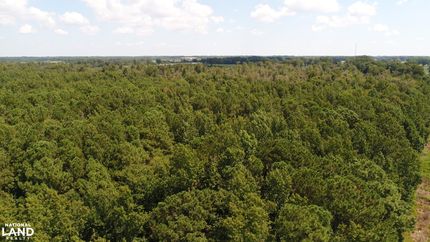 Undeveloped Land in Wayne County, North Carolina