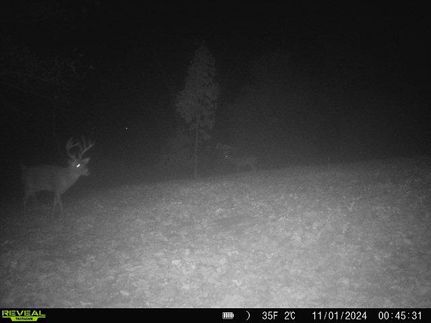 Farm and Ranch in Sullivan County, Missouri