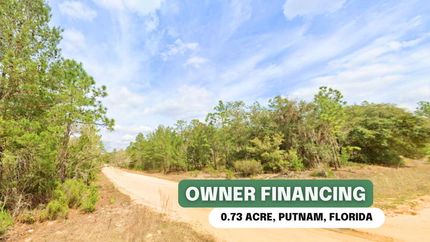 Undeveloped Land in Putnam County, Florida