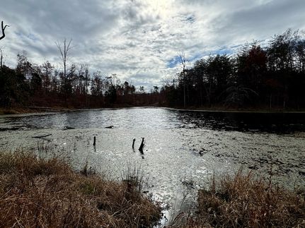 Timberland Property in Clark County, Indiana