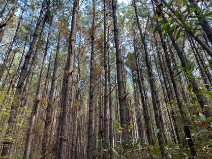 Land in Scott County, Mississippi