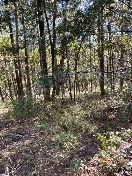 Farm and Ranch for sale in Carroll County, Mississippi