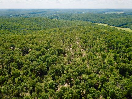 Timberland Property in Fulton County, Arkansas