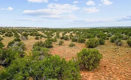 Undeveloped Land in Apache County, Arizona