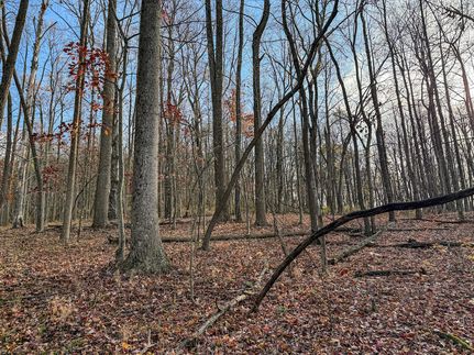 Timberland Property in Marion County, West Virginia