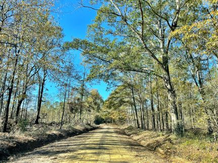 Farm and Ranch in Twiggs County, Georgia