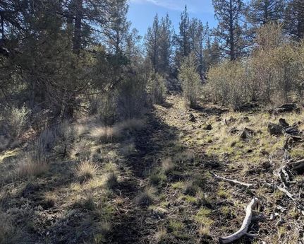 Riverfront Property in Klamath County, Oregon